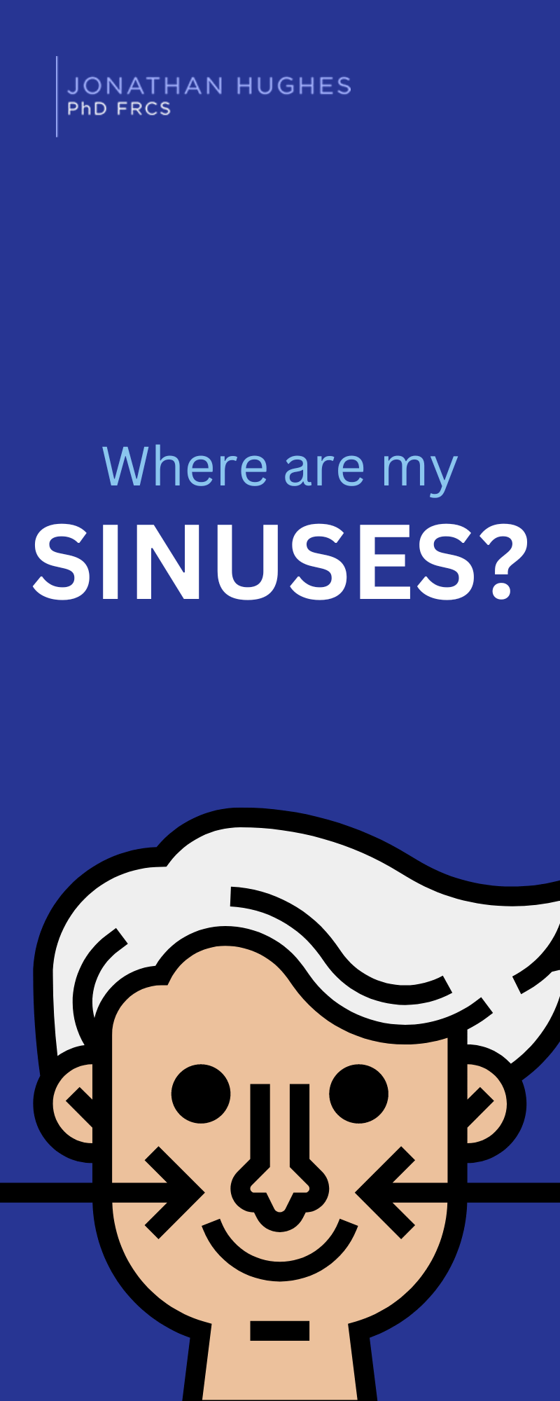 Sinuses diagram in Harley Street London